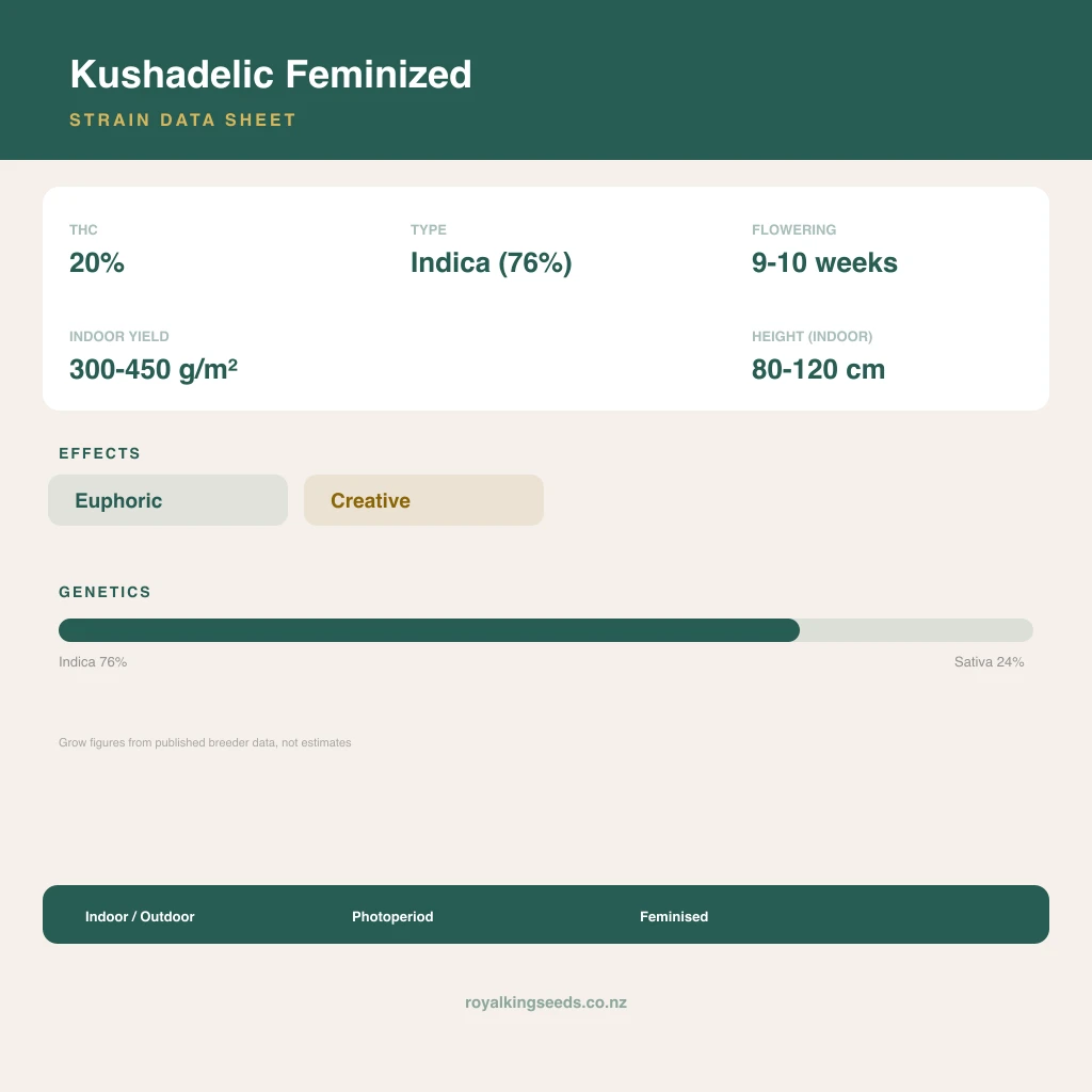 Kushadelic 76% indica / 24% sativa flower with visible trichomes