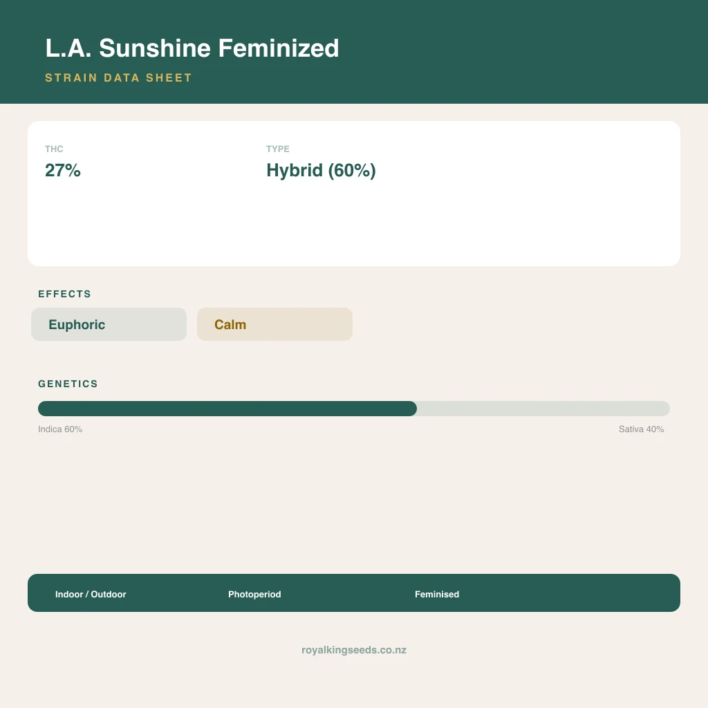 L.A. Sunshine 60% indica / 40% sativa flower with visible trichomes
