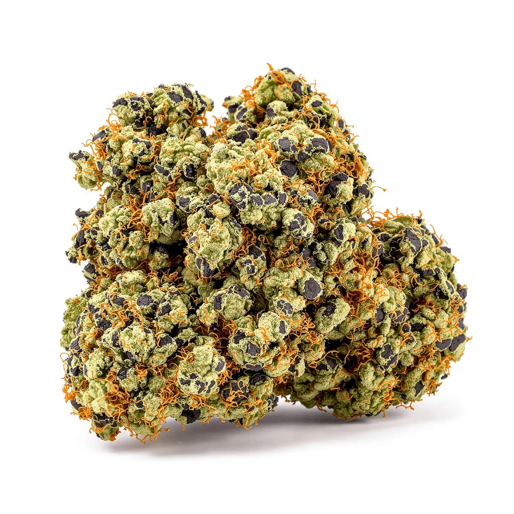 Lee Roy 69% indica / 31% sativa flower with visible trichomes