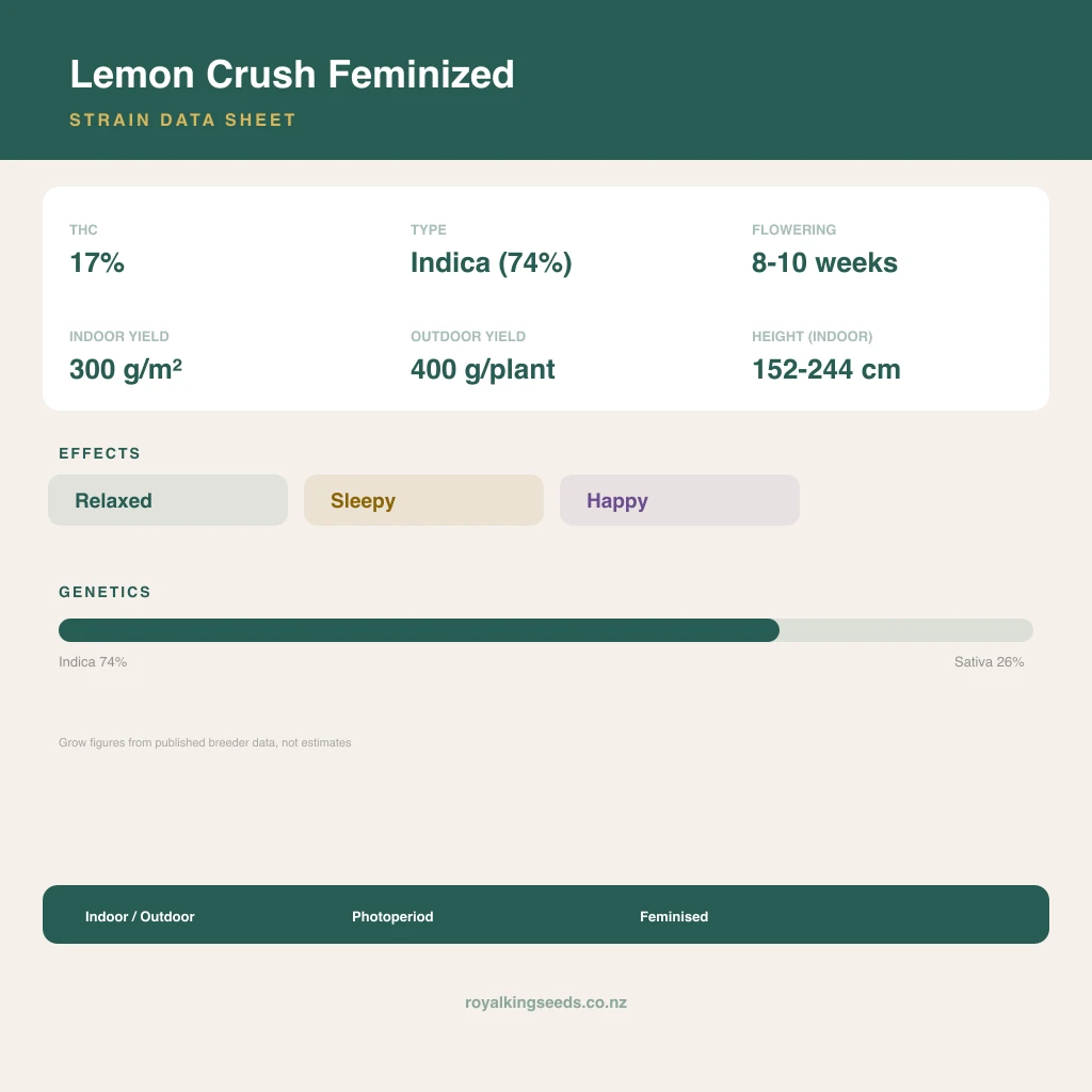 Lemon Crush 74% indica / 26% sativa flower with visible trichomes