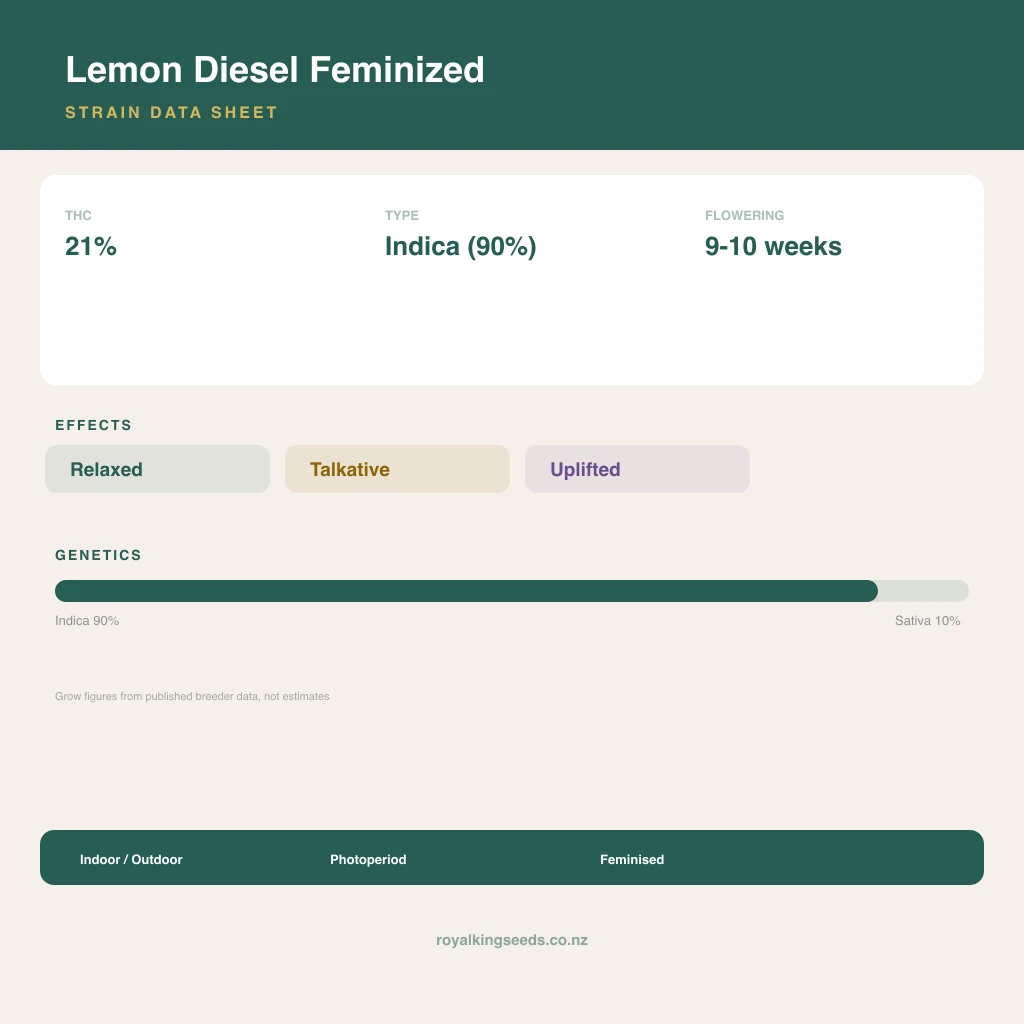 Lemon Diesel 90% indica / 10% sativa flower with visible trichomes
