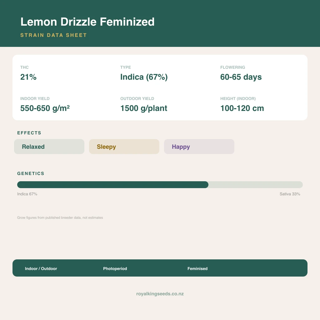 Lemon Drizzle 67% indica / 33% sativa flower with visible trichomes