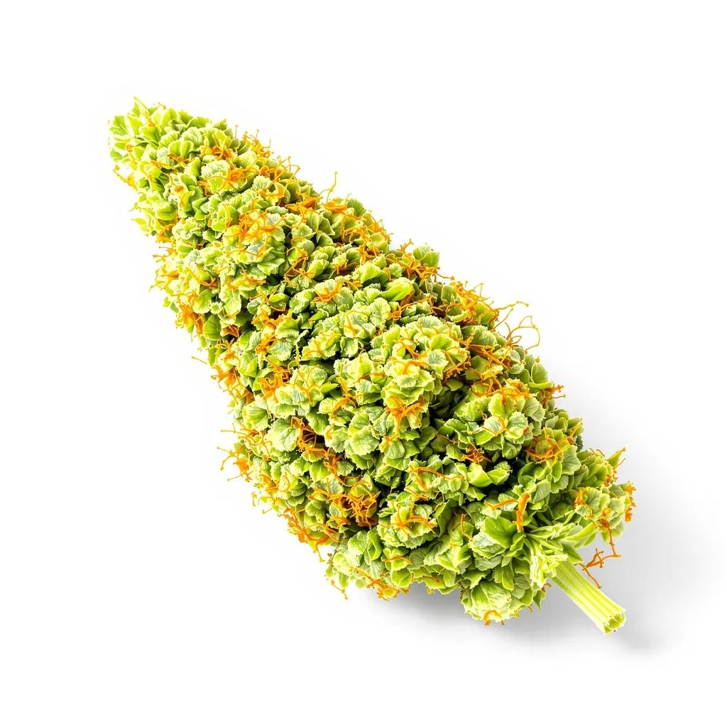 Lemon G 25% indica / 75% sativa flower with visible trichomes