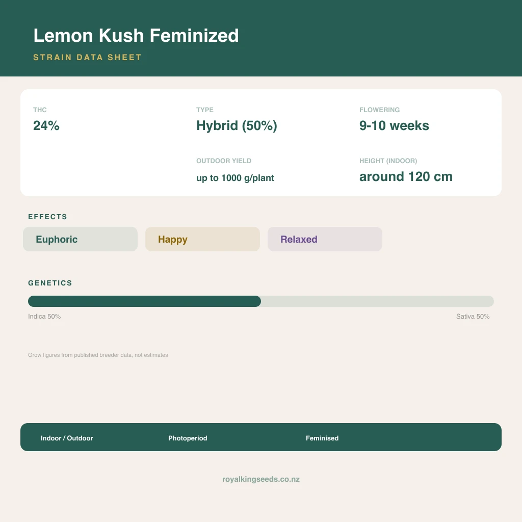 Lemon Kush 50% indica / 50% sativa flower with visible trichomes