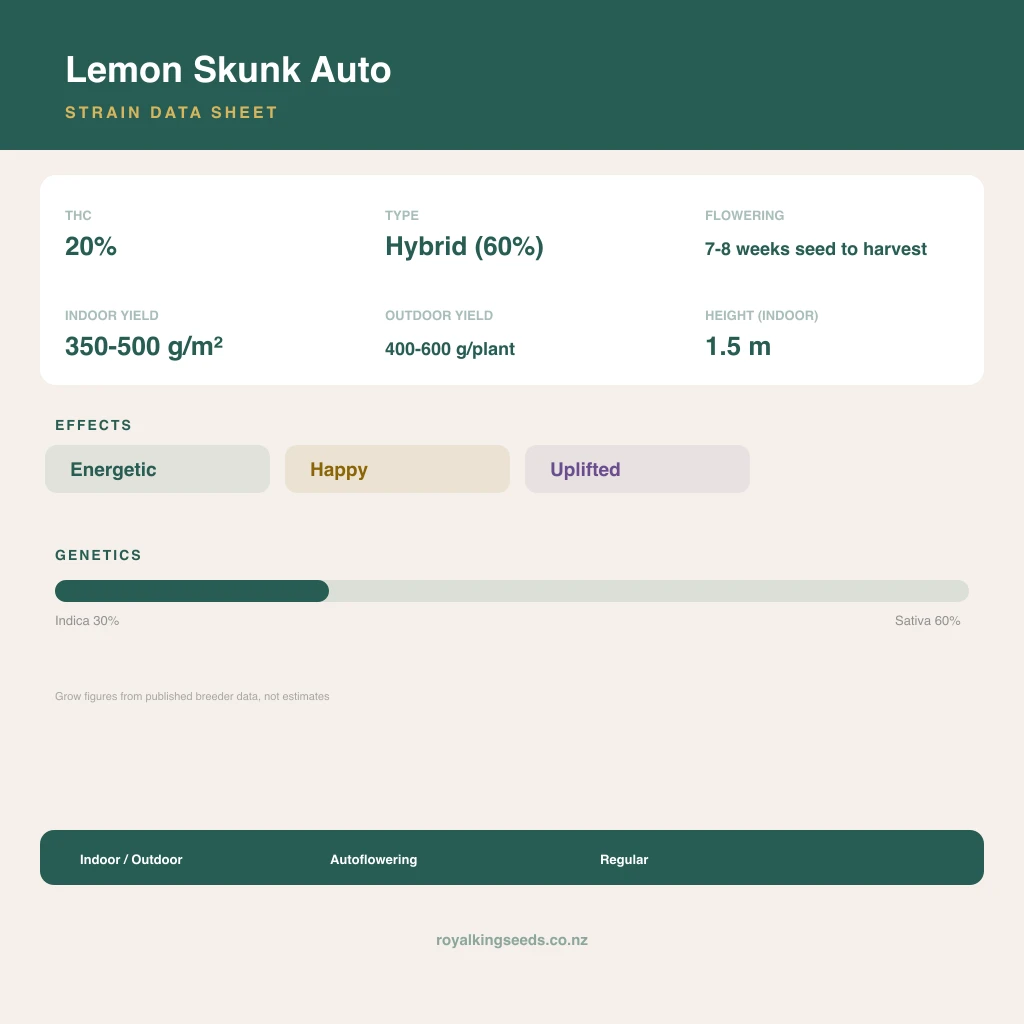 Lemon Skunk 30% indica / 60% sativa flower with visible trichomes