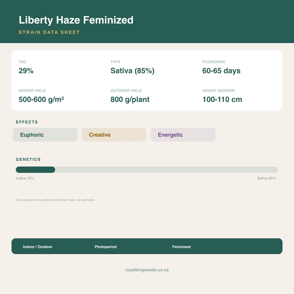 Liberty Haze 15% indica / 85% sativa flower with visible trichomes