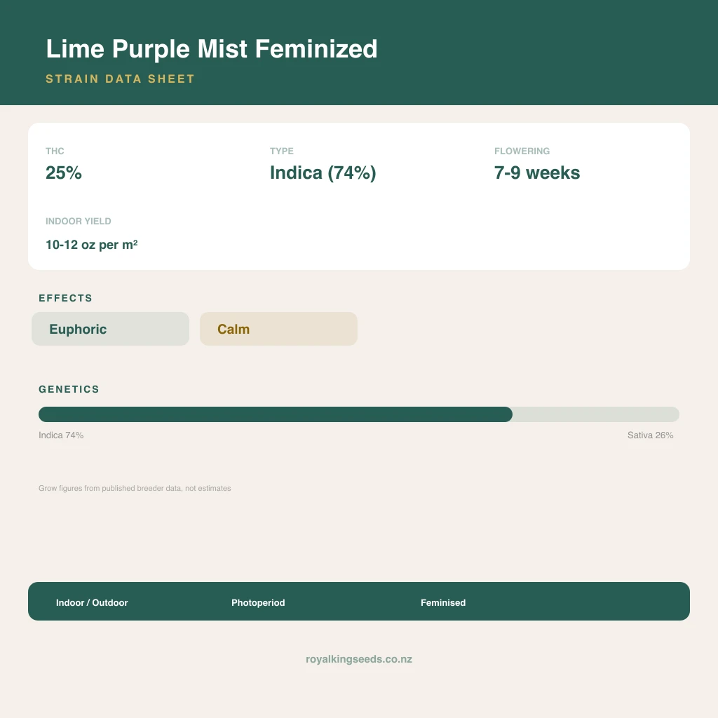 Lime Purple Mist 74% indica / 26% sativa flower with visible trichomes