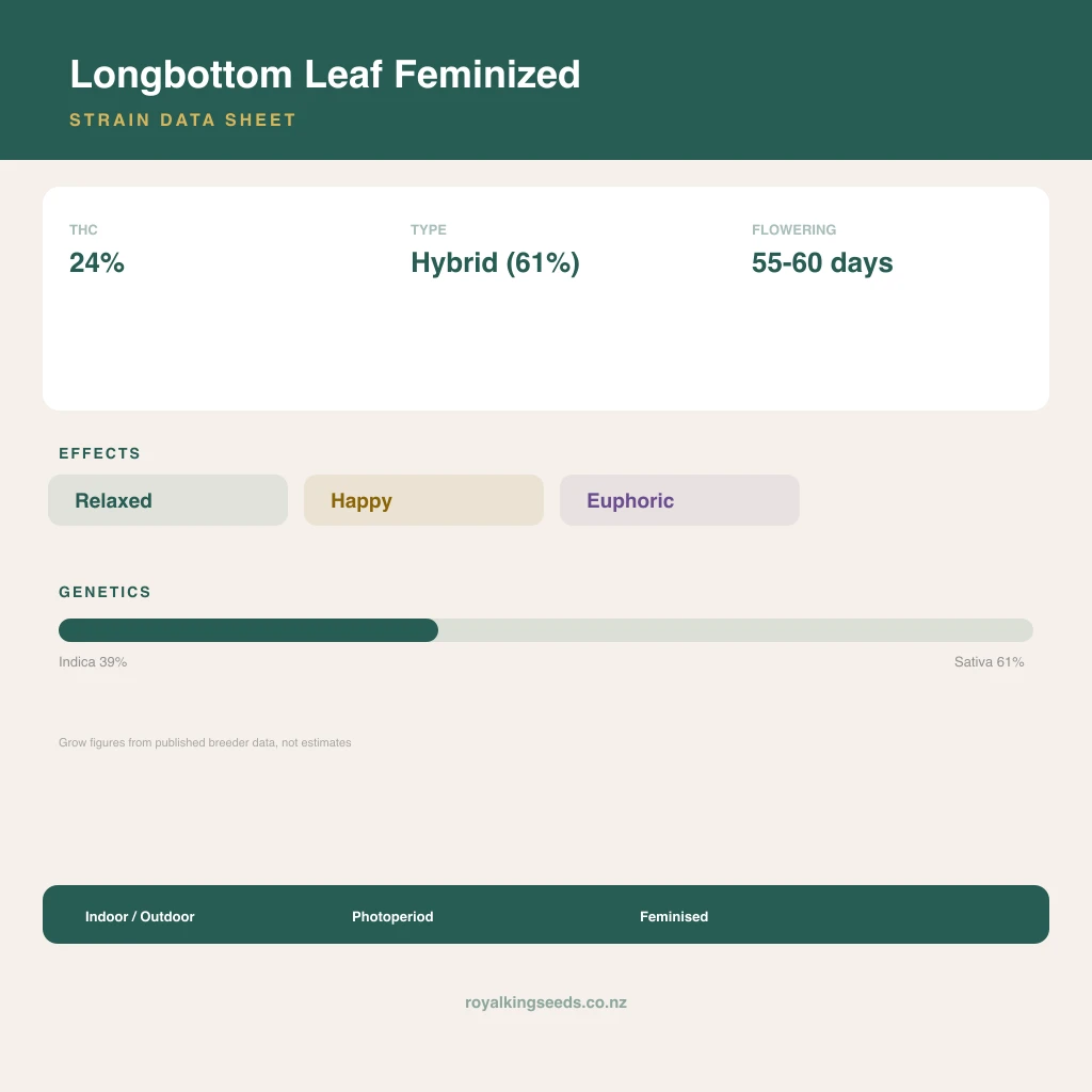 Longbottom Leaf 39% indica / 61% sativa flower with visible trichomes