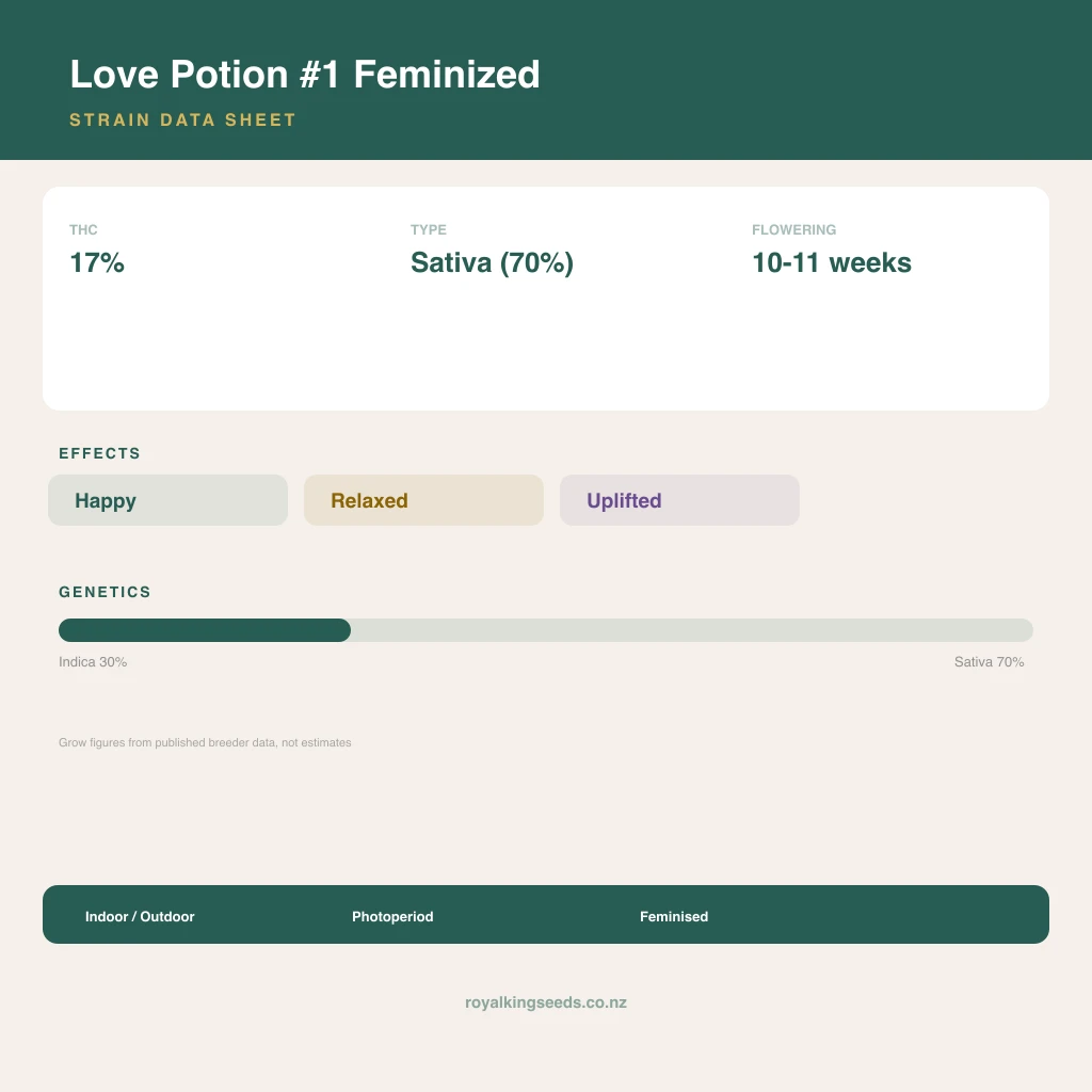 Love Potion #1 30% indica / 70% sativa flower with visible trichomes