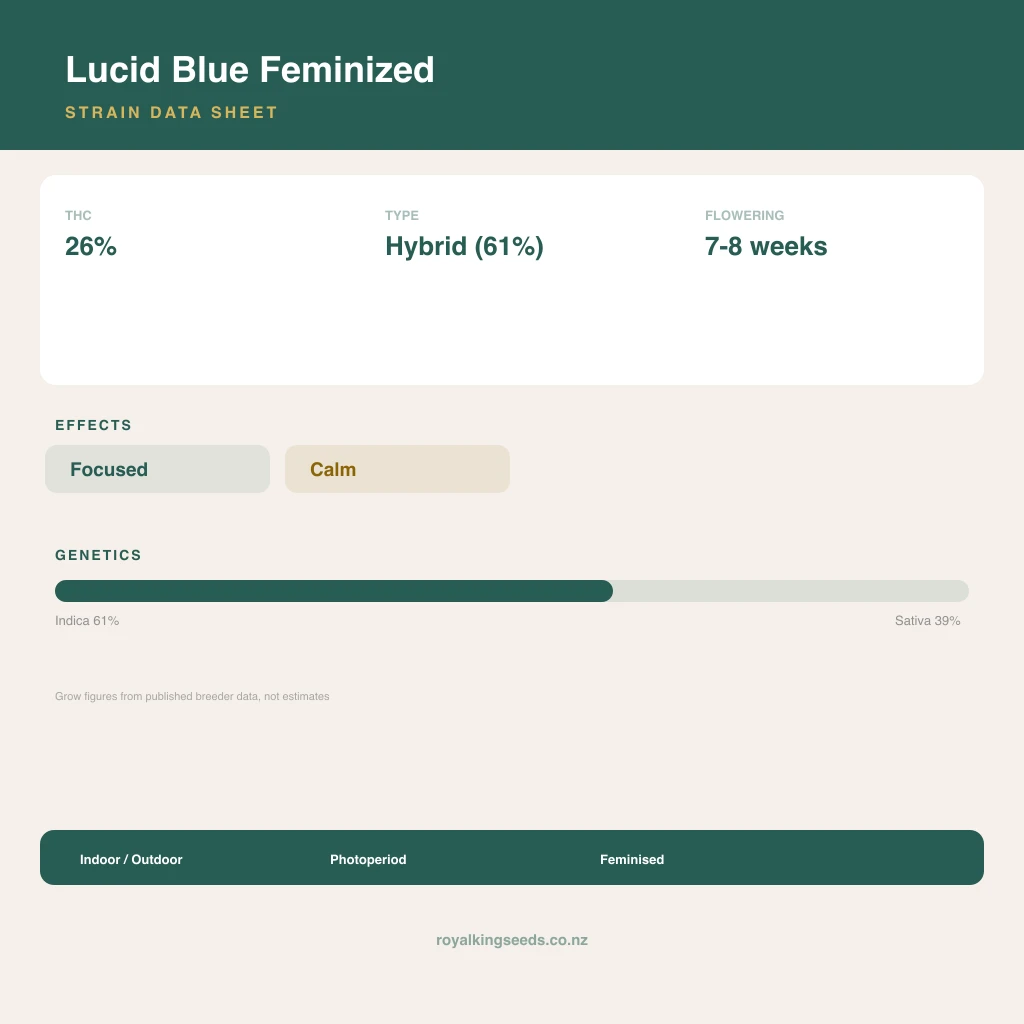 Lucid Blue 61% indica / 39% sativa flower with visible trichomes