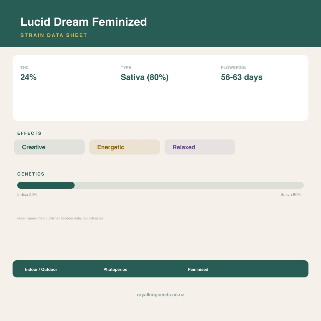 Lucid Dream 20% indica / 80% sativa flower with visible trichomes