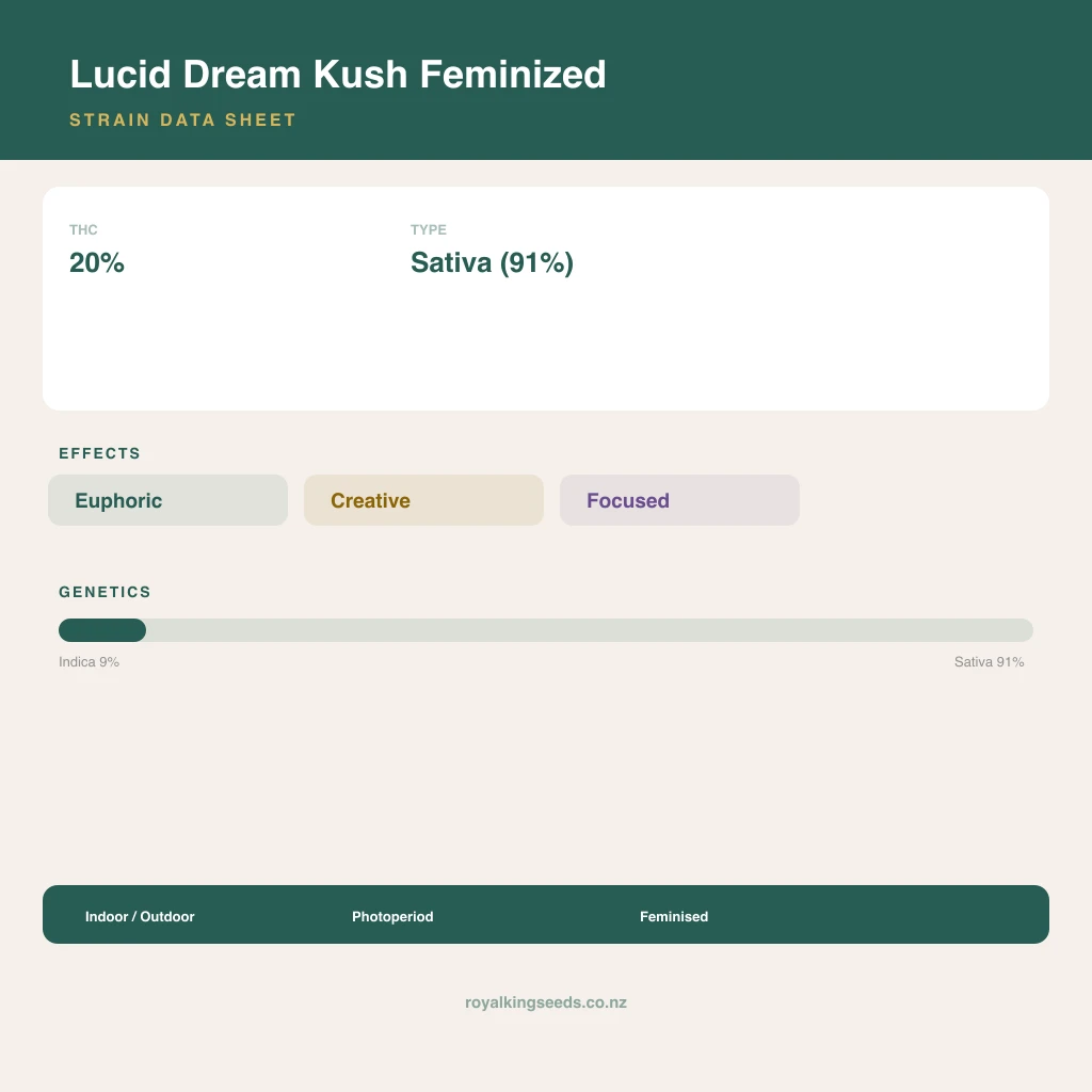 Lucid Dream Kush 9% indica / 91% sativa flower with visible trichomes