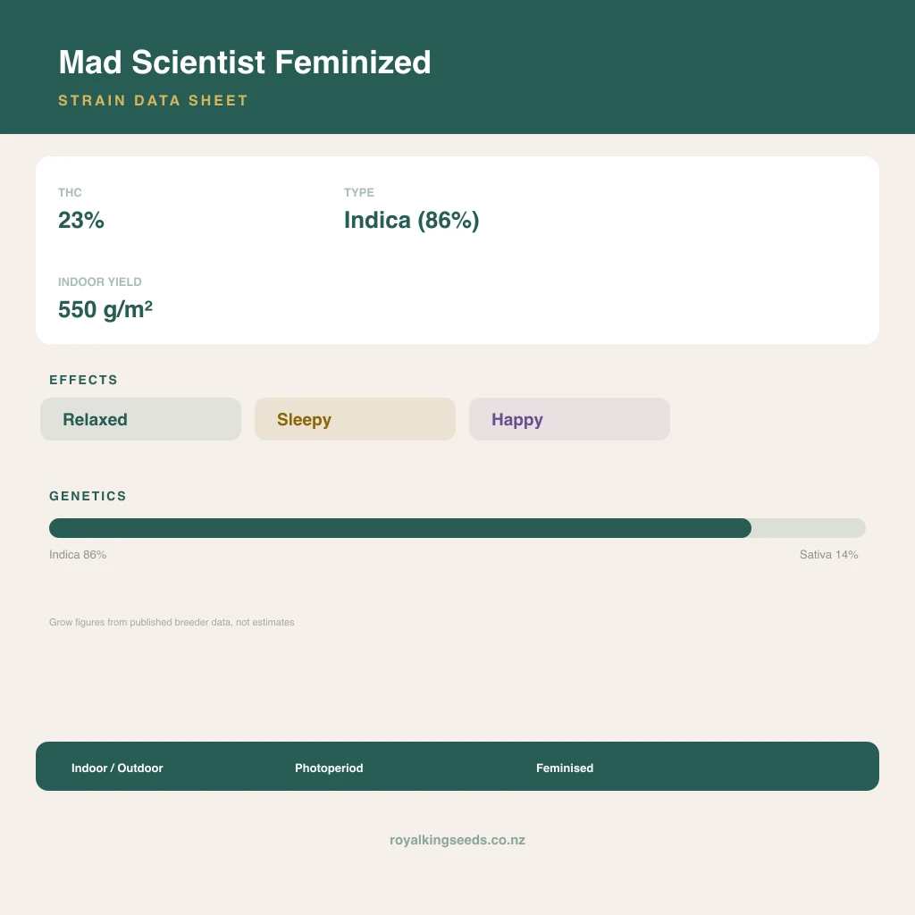 Mad Scientist 86% indica / 14% sativa flower with visible trichomes