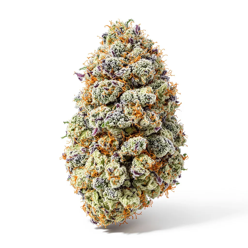 Mandarin 36% indica / 64% sativa flower with visible trichomes