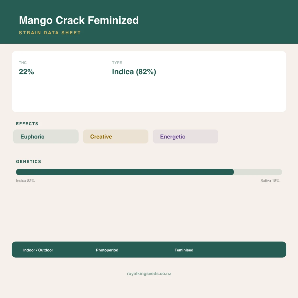 Mango Crack 82% indica / 18% sativa flower with visible trichomes