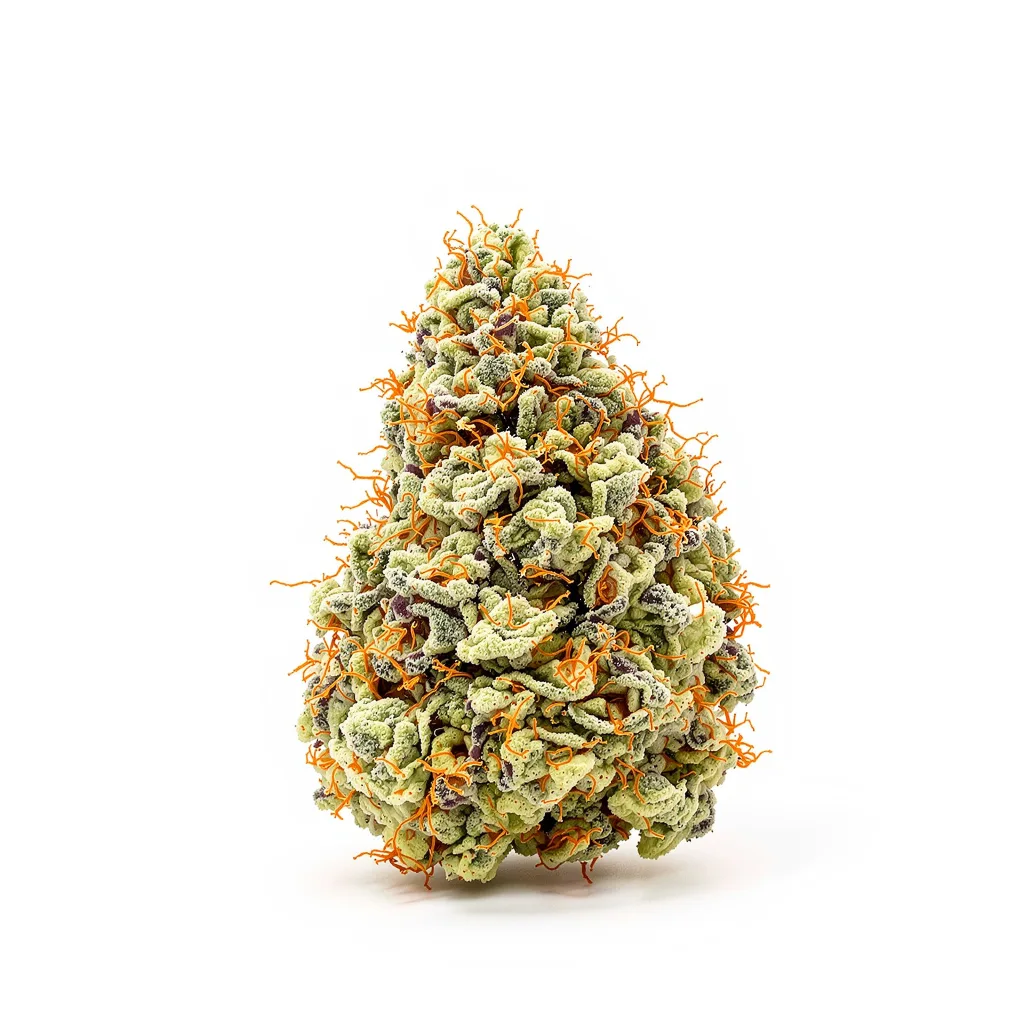 Mango Haze 40% indica / 60% sativa flower with visible trichomes