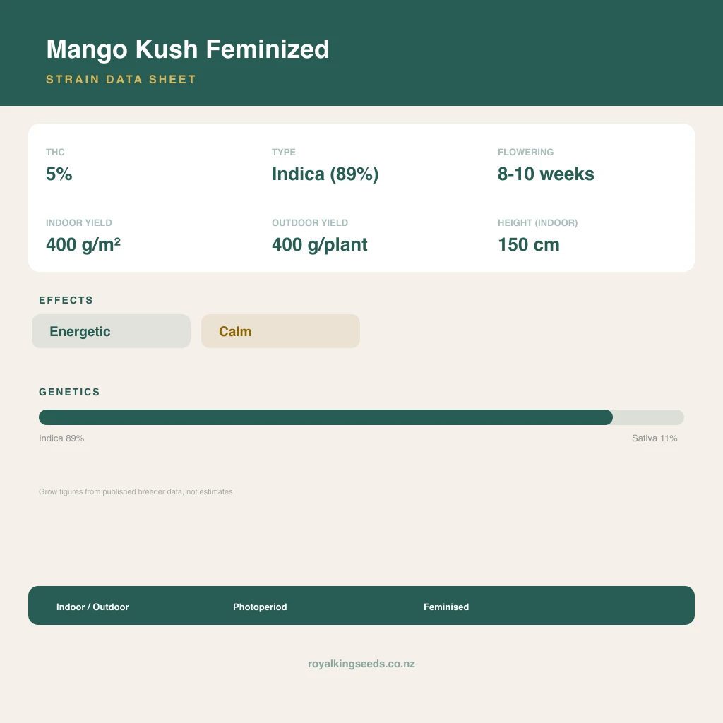Mango Kush 89% indica / 11% sativa flower with visible trichomes