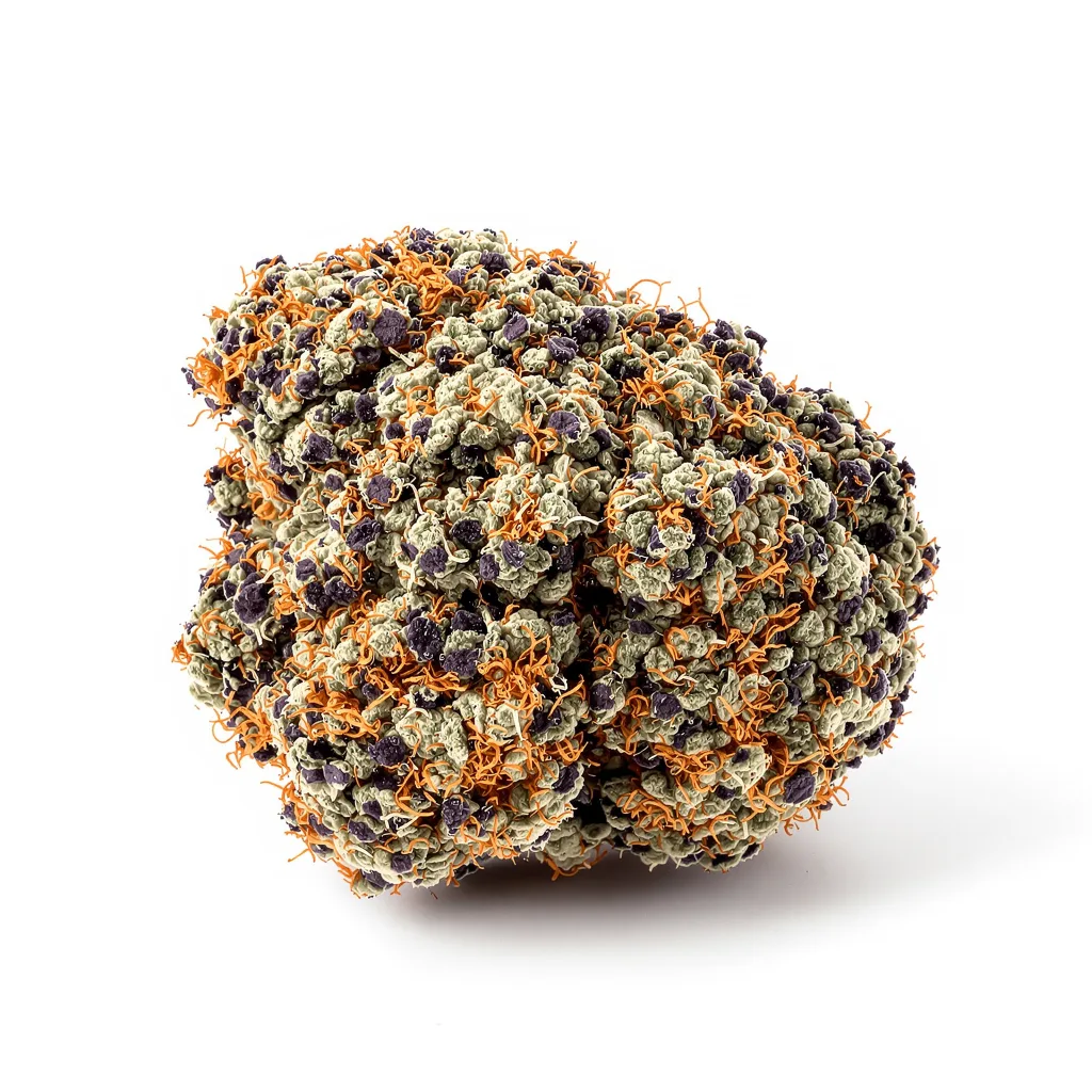 Mazar 73% indica / 27% sativa flower with visible trichomes