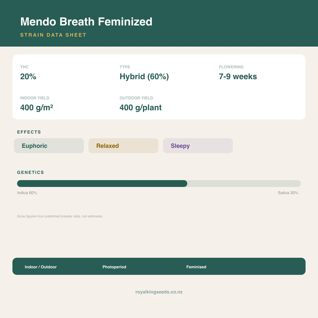 Mendo Breath 60% indica / 30% sativa flower with visible trichomes