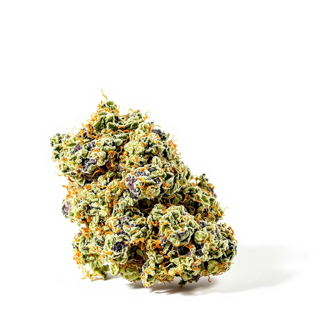 Mendocino Purps 62% indica / 38% sativa flower with visible trichomes