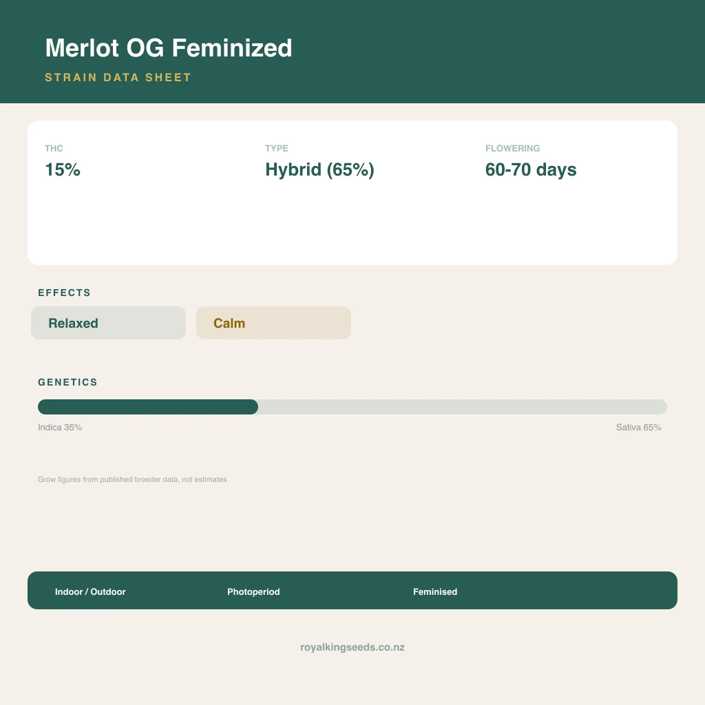 Merlot OG 35% indica / 65% sativa flower with visible trichomes