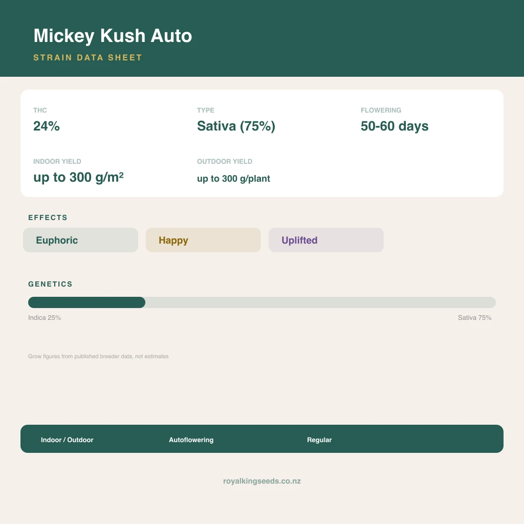 Mickey Kush 25% indica / 75% sativa flower with visible trichomes