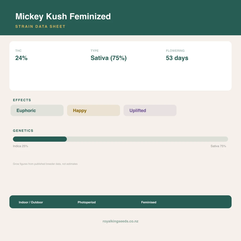 Mickey Kush 25% indica / 75% sativa flower with visible trichomes