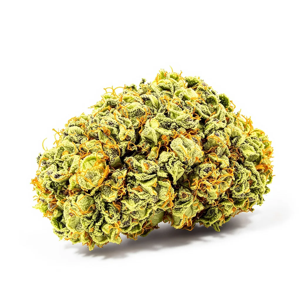 Mickey Kush 25% indica / 75% sativa flower with visible trichomes
