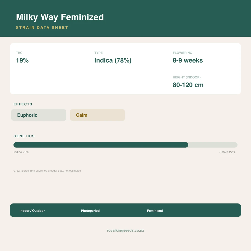 Milky Way 78% indica / 22% sativa flower with visible trichomes