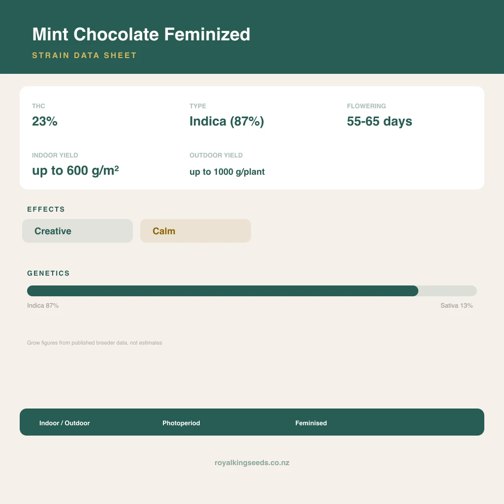 Mint Chocolate 87% indica / 13% sativa flower with visible trichomes