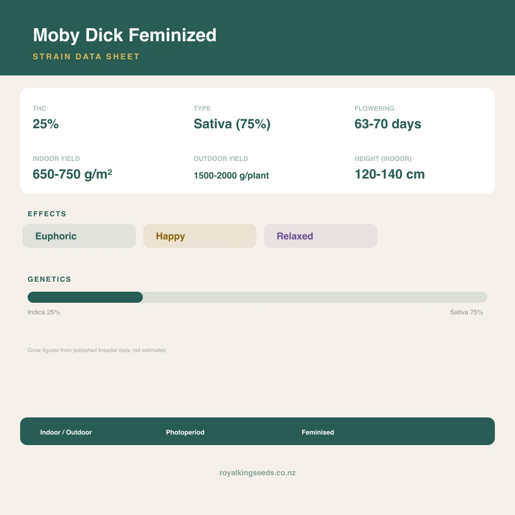 Moby Dick 25% indica / 75% sativa flower with visible trichomes