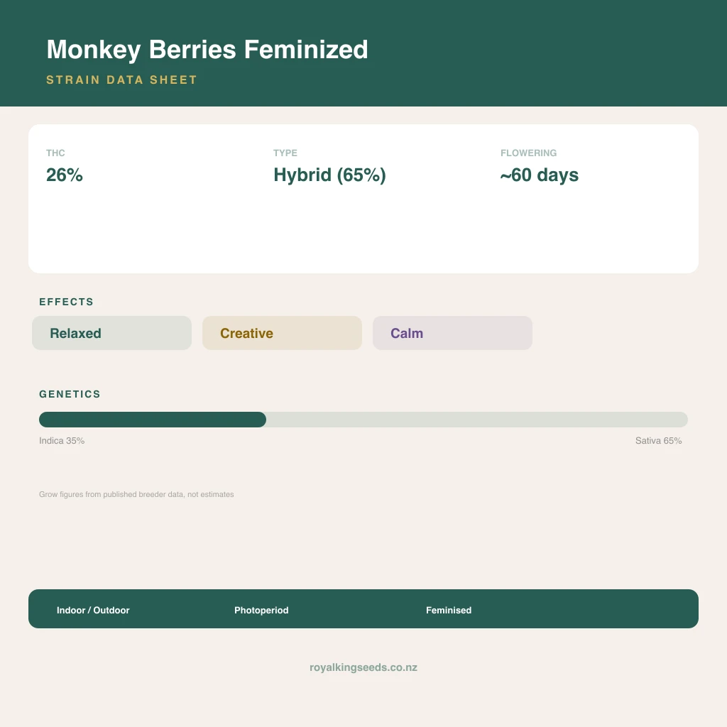 Monkey Berries 35% indica / 65% sativa flower with visible trichomes