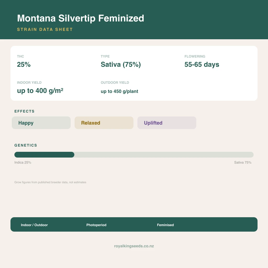 Montana Silvertip 25% indica / 75% sativa flower with visible trichomes
