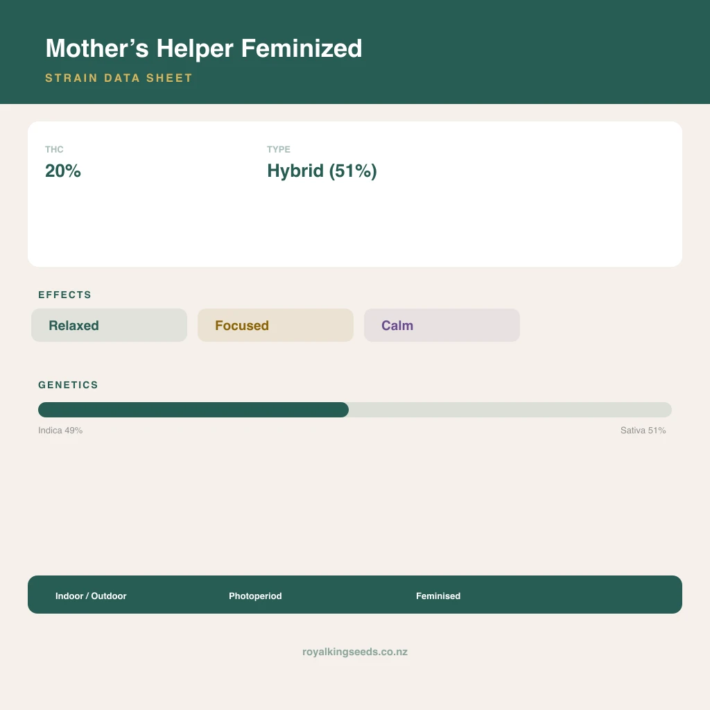 Mother’s Helper 49% indica / 51% sativa flower with visible trichomes