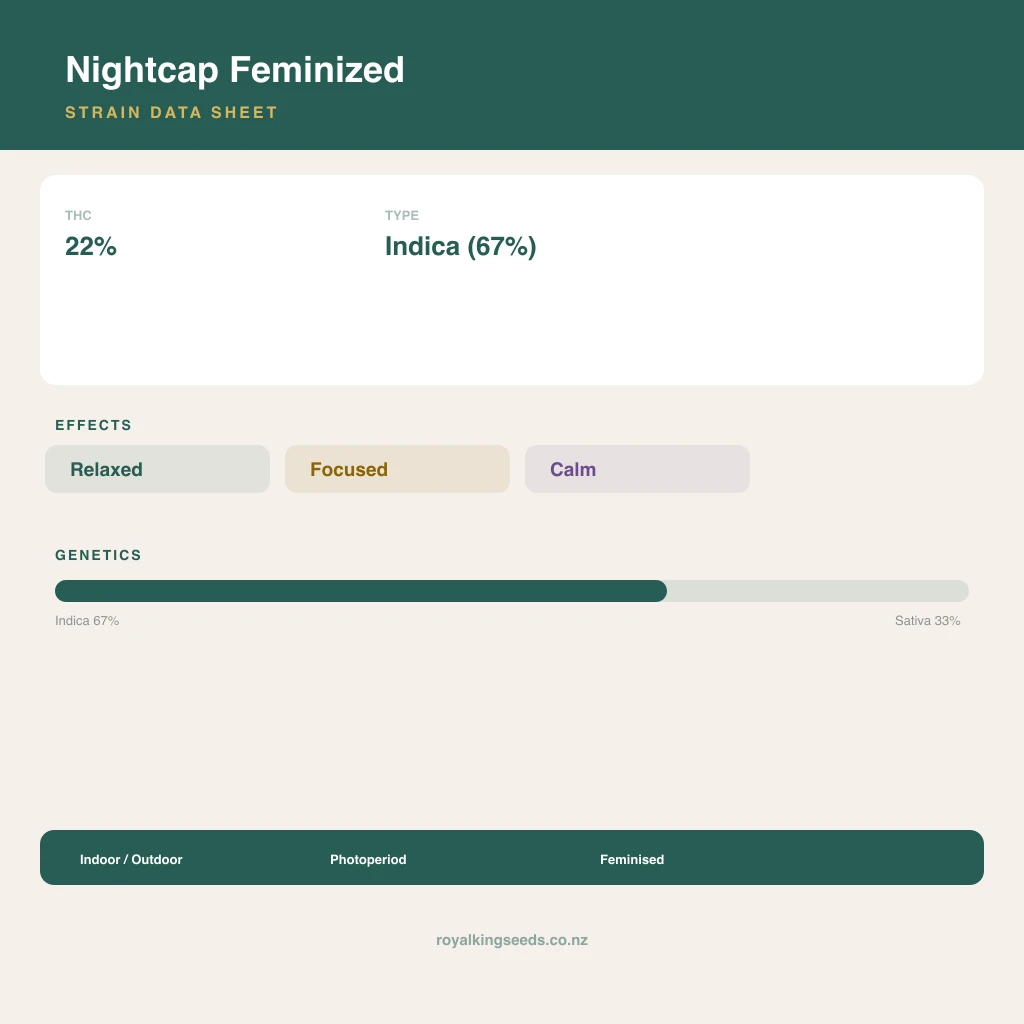 Nightcap 67% indica / 33% sativa flower with visible trichomes