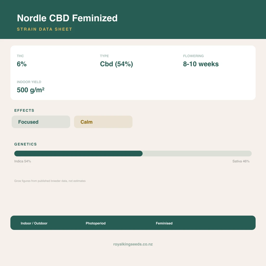 Nordle CBD 54% indica / 46% sativa flower with visible trichomes