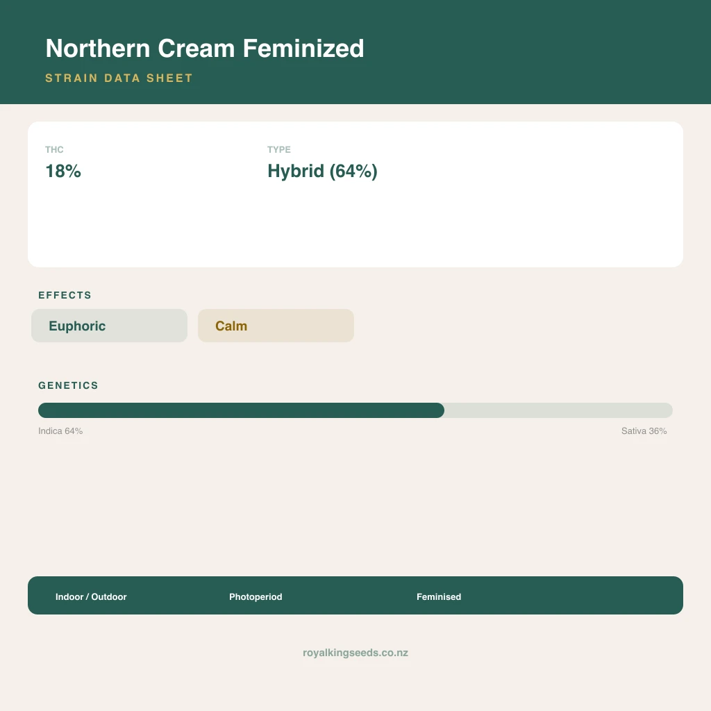 Northern Cream 64% indica / 36% sativa flower with visible trichomes