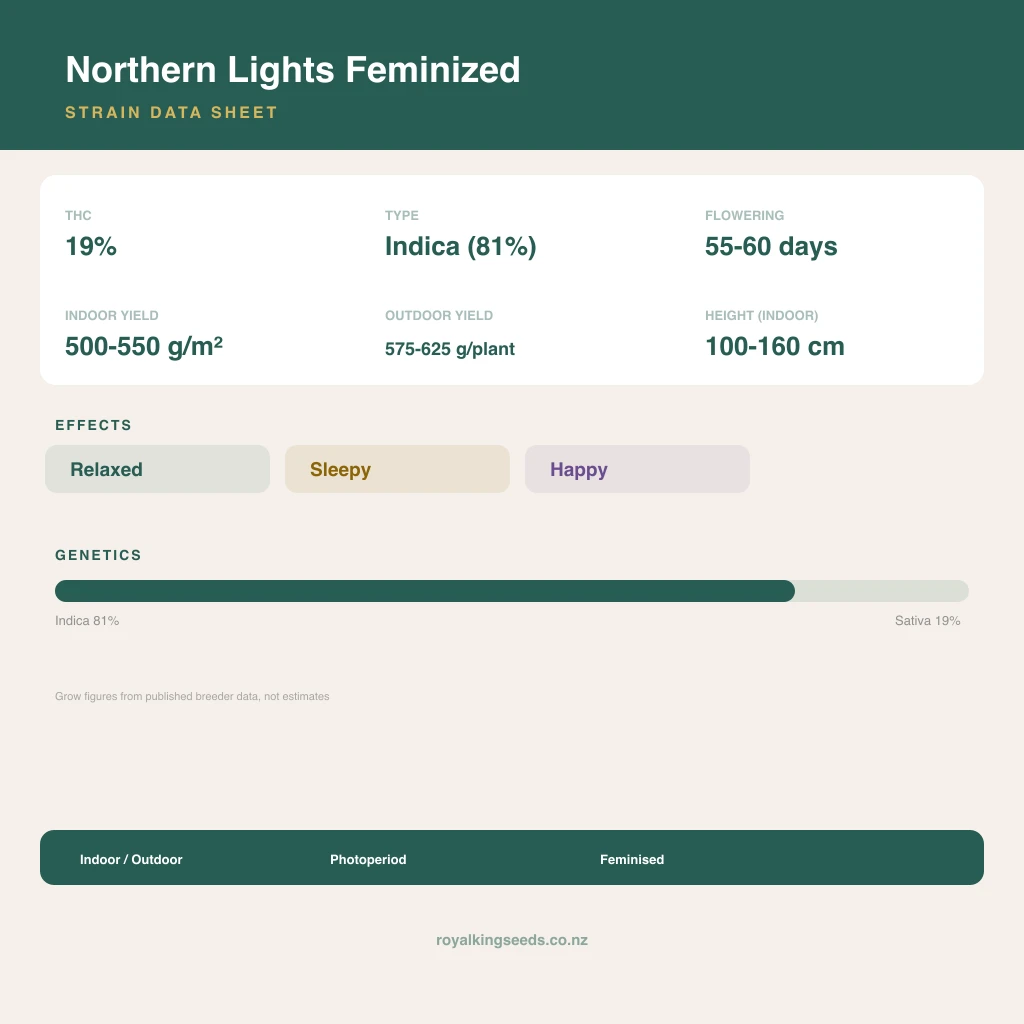 Northern Lights 81% indica / 19% sativa flower with visible trichomes