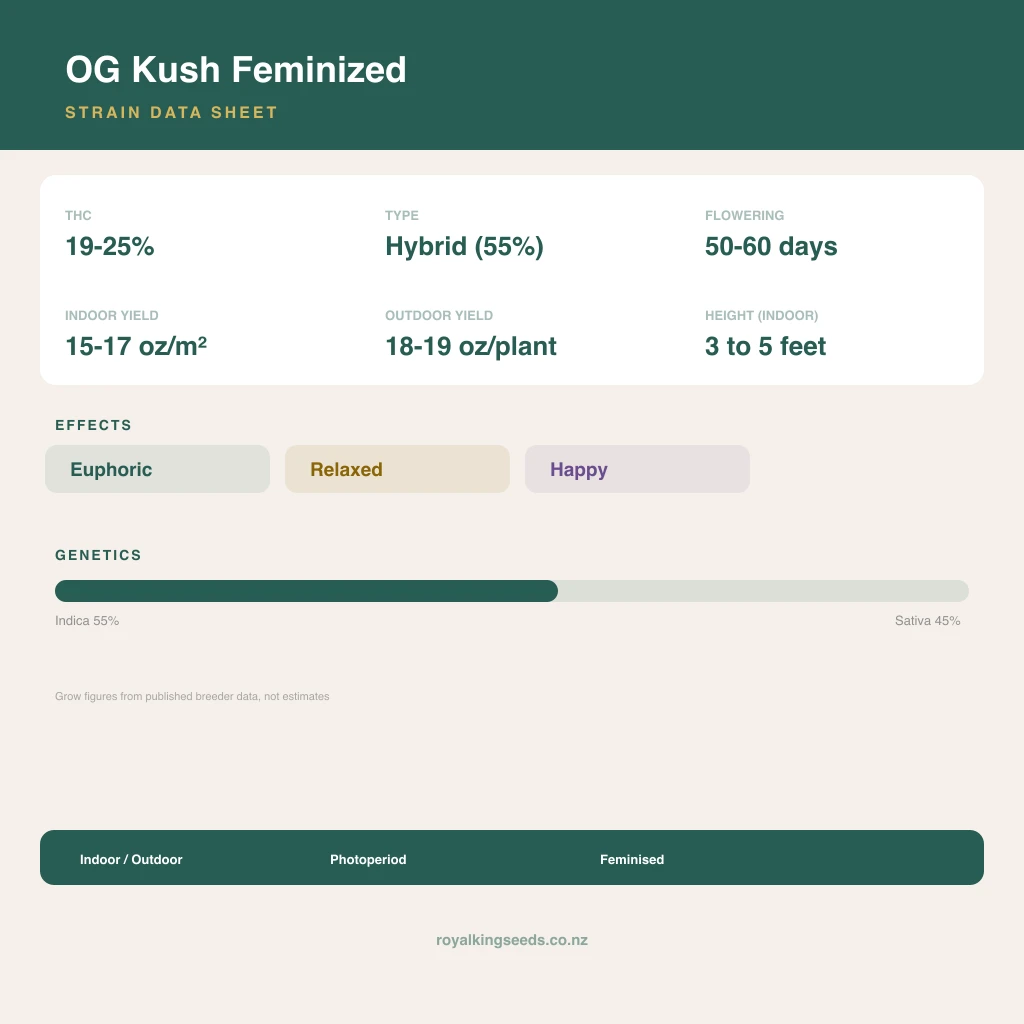 OG Kush 55% indica / 45% sativa flower with visible trichomes