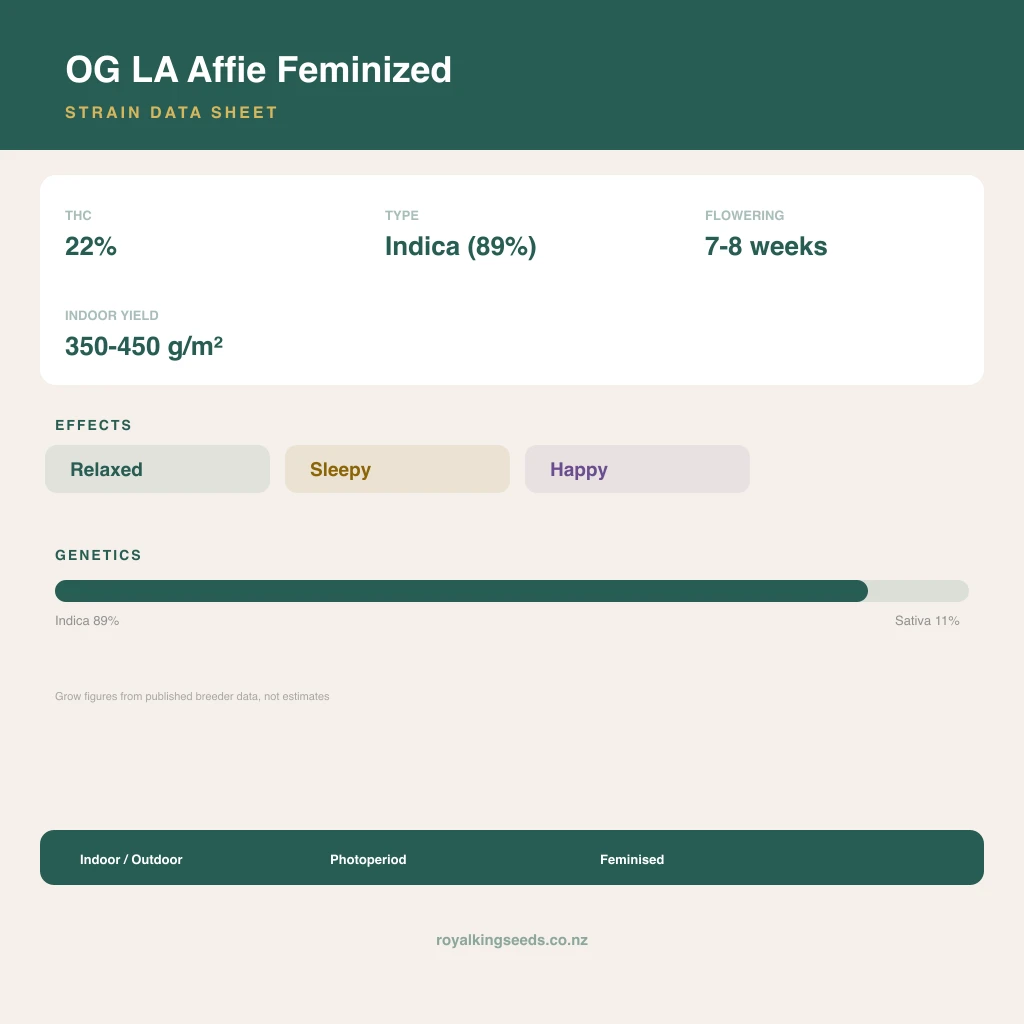 OG LA Affie 89% indica / 11% sativa flower with visible trichomes