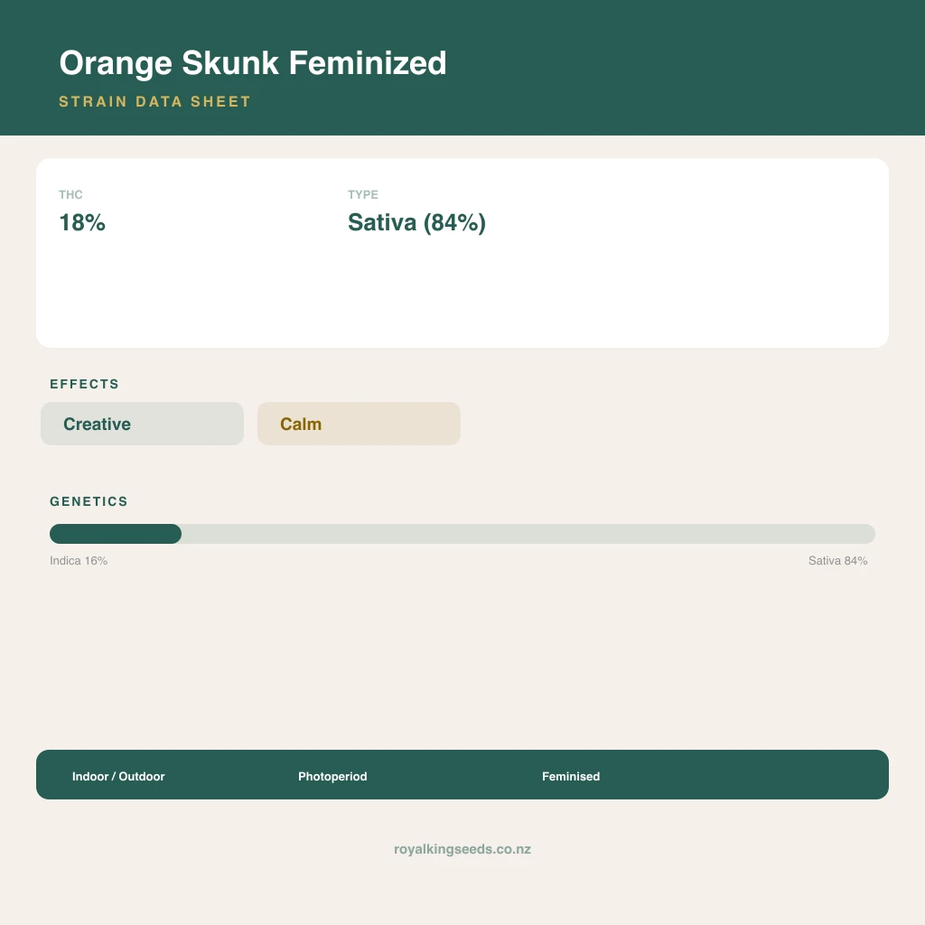 Orange Skunk 16% indica / 84% sativa flower with visible trichomes