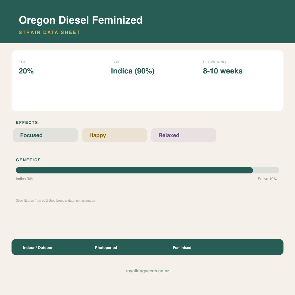 Oregon Diesel 90% indica / 10% sativa flower with visible trichomes