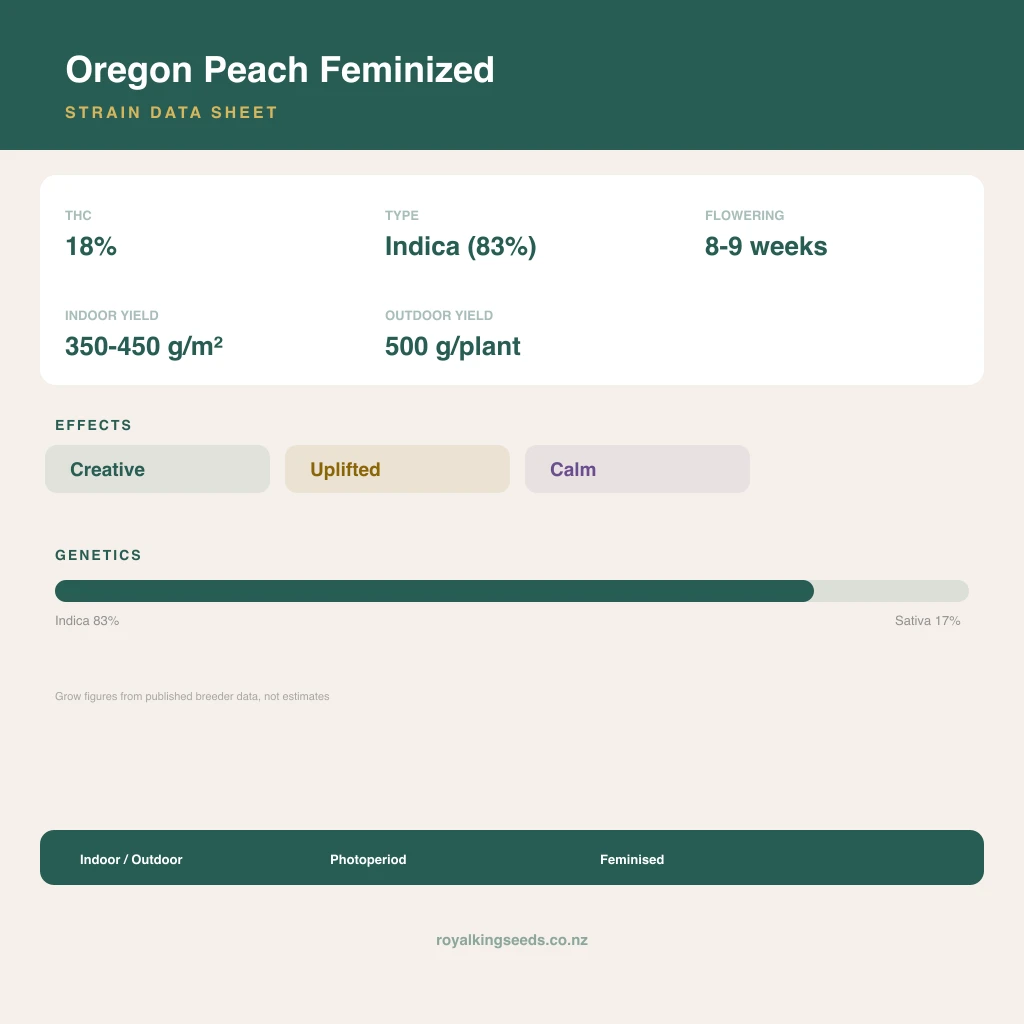 Oregon Peach 83% indica / 17% sativa flower with visible trichomes