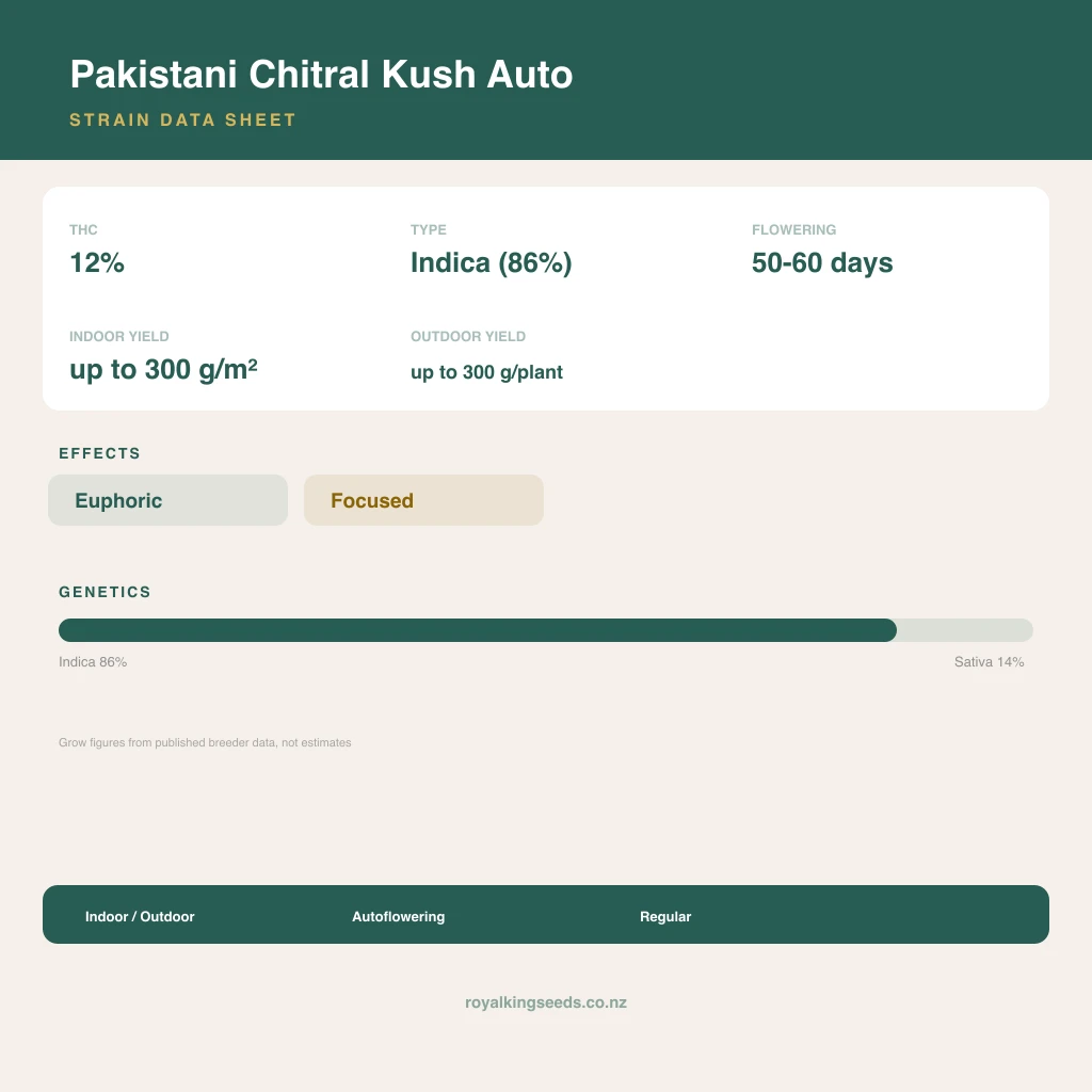 Pakistani Chitral Kush 86% indica / 14% sativa flower with visible trichomes