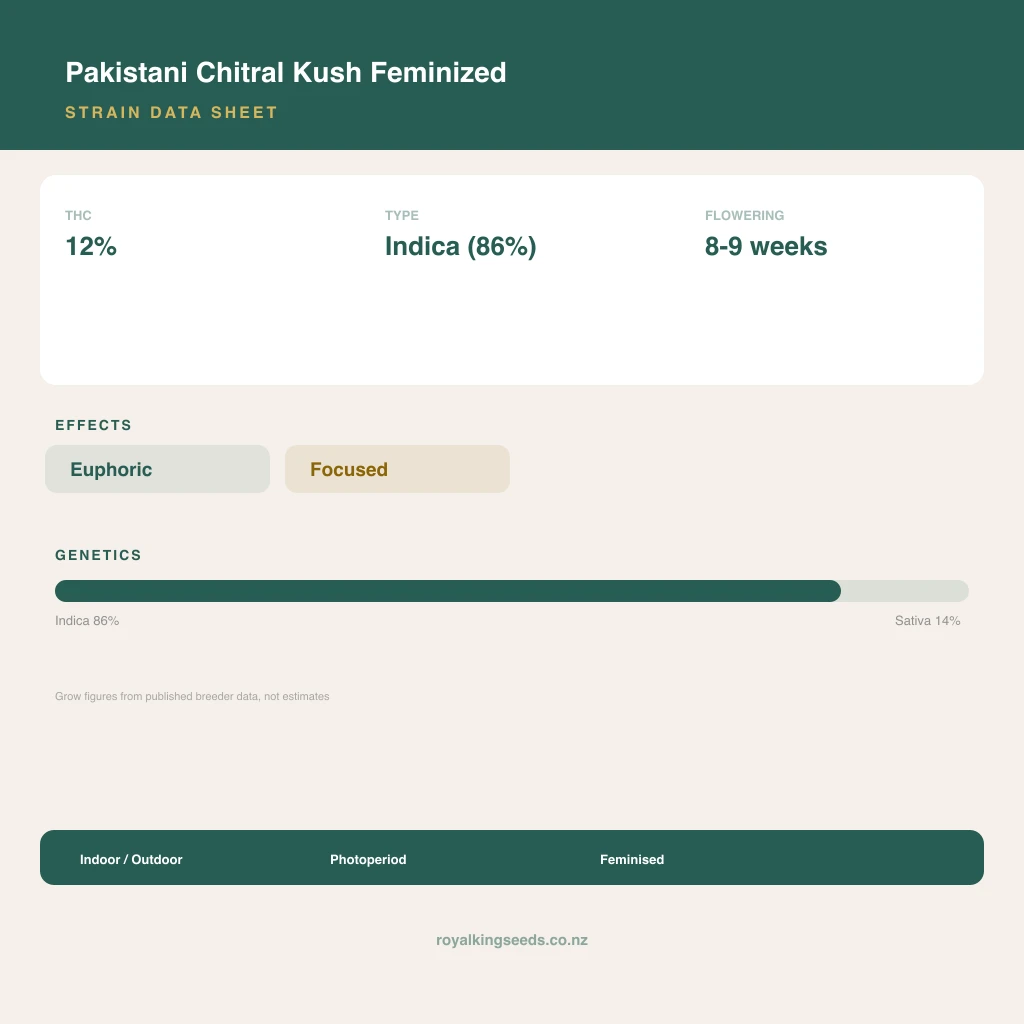 Pakistani Chitral Kush 86% indica / 14% sativa flower with visible trichomes