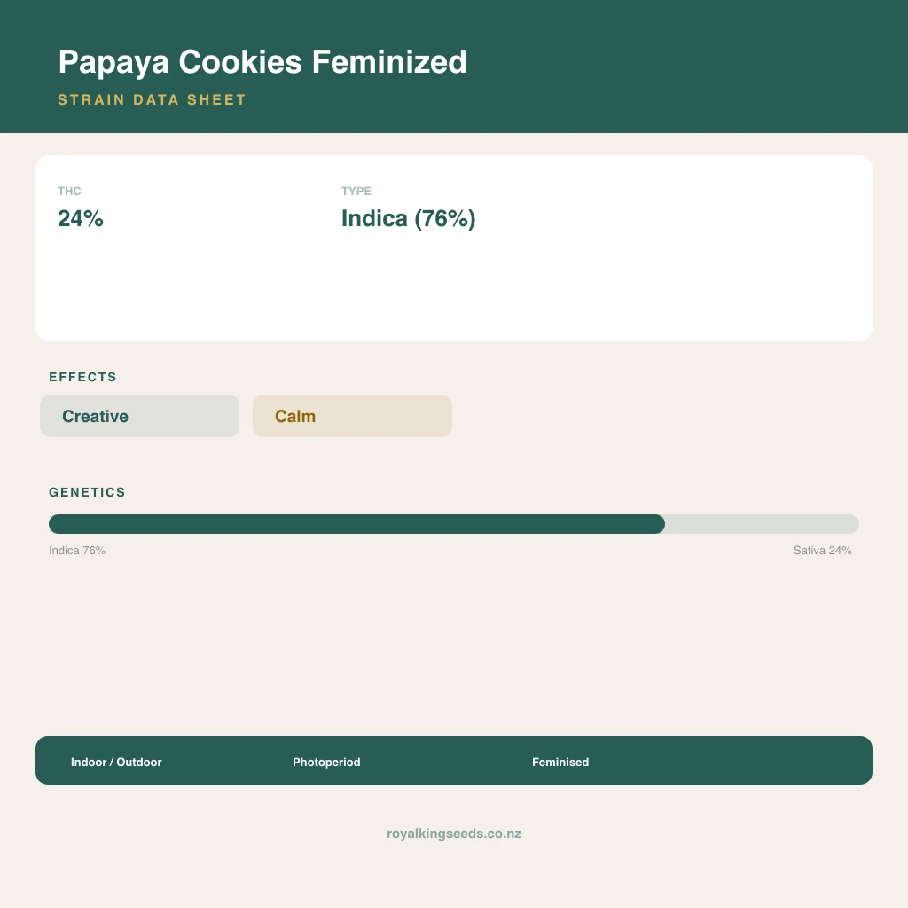 Papaya Cookies 76% indica / 24% sativa flower with visible trichomes
