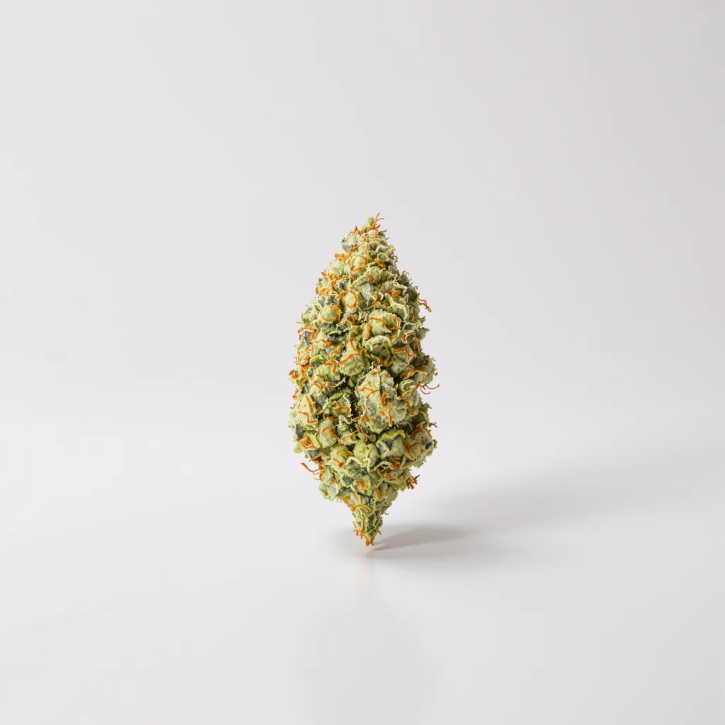 Pennywise CBD 58% indica / 42% sativa flower with visible trichomes