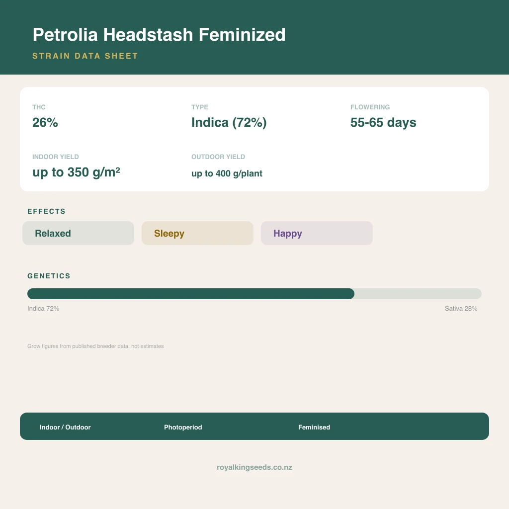 Petrolia Headstash 72% indica / 28% sativa flower with visible trichomes