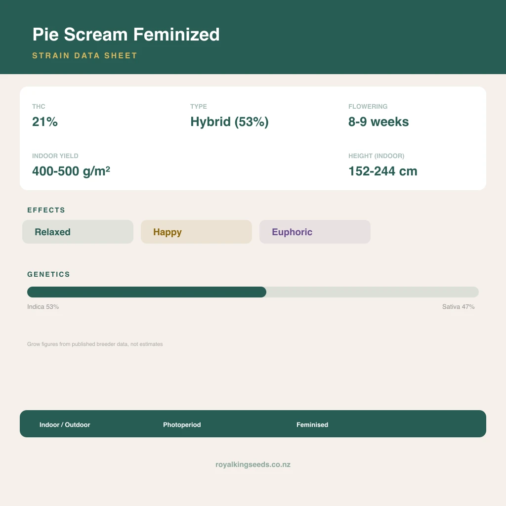 Pie Scream 53% indica / 47% sativa flower with visible trichomes