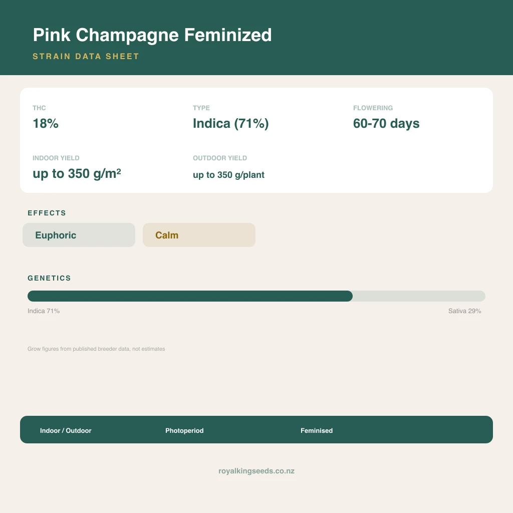 Pink Champagne 71% indica / 29% sativa flower with visible trichomes